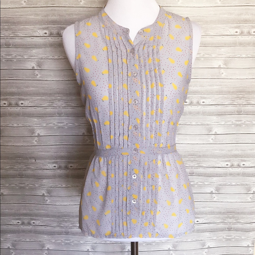 Frenchi gray pear blouse